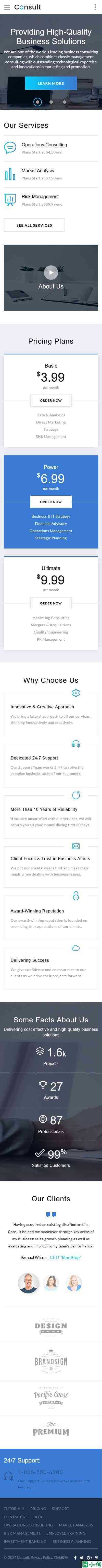 商业智汇精英网站模板-手机预览